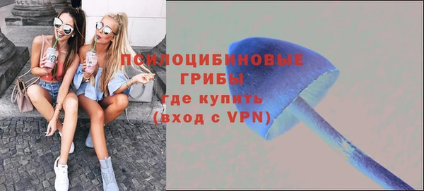 mdpv Арсеньев
